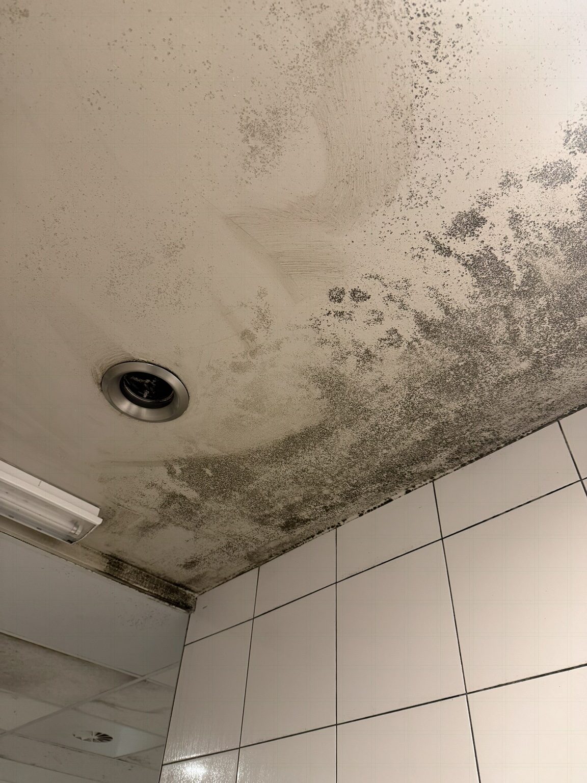 Plafond avant intervention