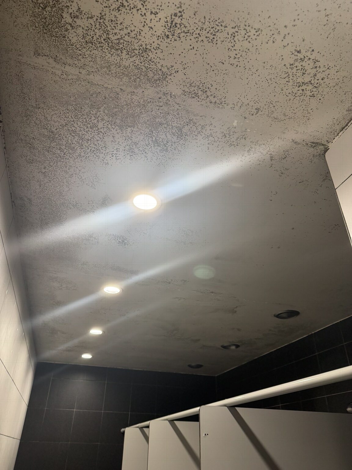 Plafond avant intervention