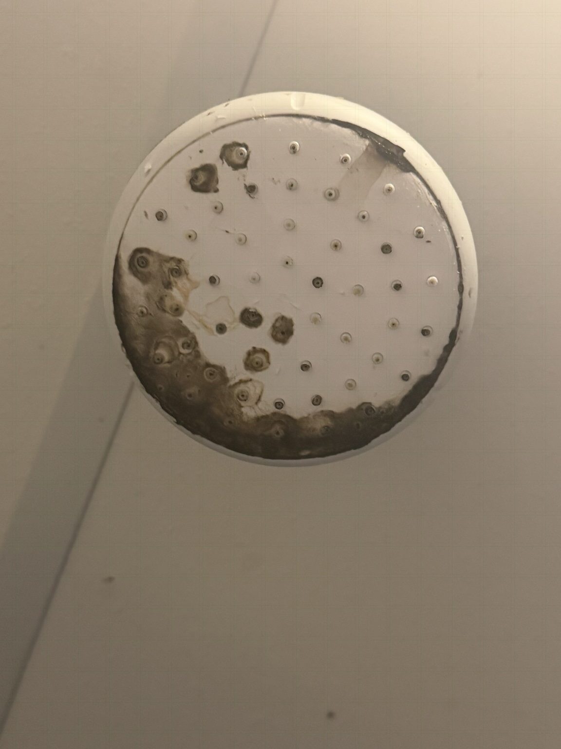 Douche avant nettoyage